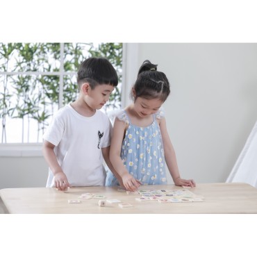 VIGA Mokomasis žaidimas Mokomasis galvosūkis Rūšiuoti pojūčius 37 vnt. Montessori