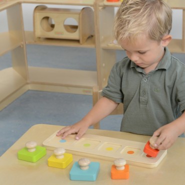 MASTERKIDZ dėlionės, mokančios Montessori dydžių ir spalvų