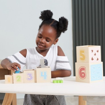 VIGA medinių piramidinių dėlionių kaladėlių rūšiuotojas Montessori