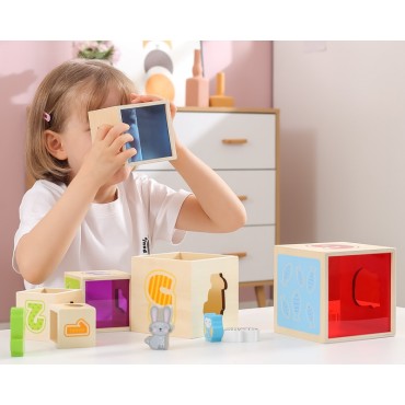 VIGA medinių piramidinių dėlionių kaladėlių rūšiuotojas Montessori