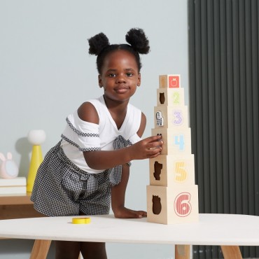 VIGA medinių piramidinių dėlionių kaladėlių rūšiuotojas Montessori