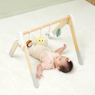 VIGA PolarB galvos juostos stovas kūdikiams Baby Gym