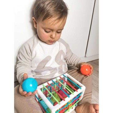 WOOPIE BABY Lankstus sensorinis kubas Baby Sorter Spalvotos formos 13 el.