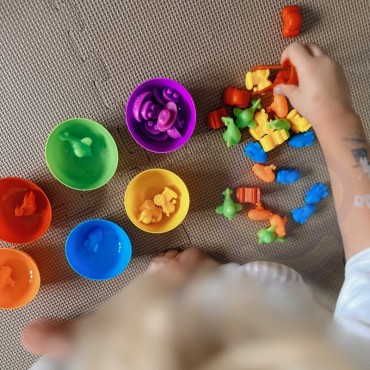 WOOPIE edukacinis žaidimas Color Sorter Dinosaurs 56 vnt.