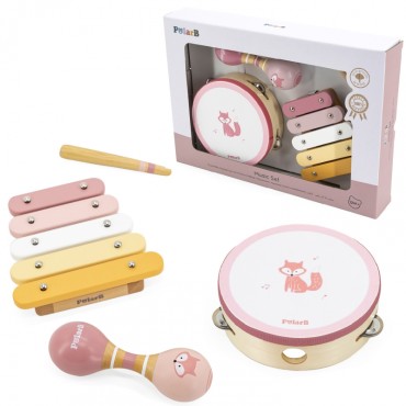 VIGA PolarB muzikos instrumentų rinkinys Rožinė