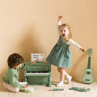CLASSIC WORLD Medinis senovinių muzikos instrumentų rinkinys 18ms+