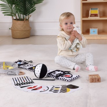 TOOKY TOY Box XXL Montessori edukacinė 7 viename sensorinė dėžutė 0–2 mėn.