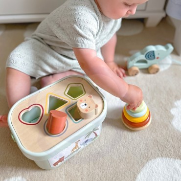 WOOPIE GREEN Sorter Box 3in1 dramblio piramidės blokeliai