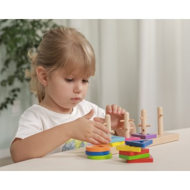 VIGA Medinės kaladėlės su Montessori formos rūšiuotoju
