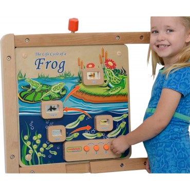 MASTERKIDZ Mokomoji sieninė lenta Flex Montessori Frog Life Cycle