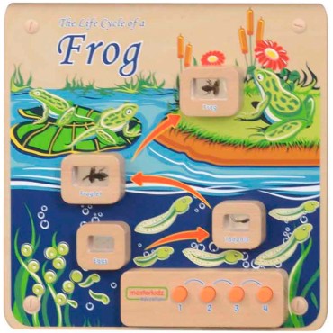 MASTERKIDZ Mokomoji sieninė lenta Flex Montessori Frog Life Cycle