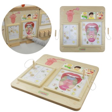 MASTERKIDZ Montessori Sense of Vision ugdymo taryba