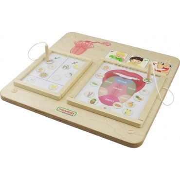 MASTERKIDZ Montessori Sense of Vision ugdymo taryba