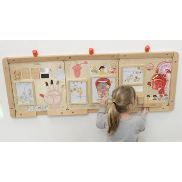 MASTERKIDZ Montessori Sense of Vision ugdymo taryba