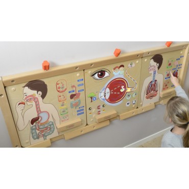 MASTERKIDZ Montessori kvėpavimo sistemos ugdymo taryba
