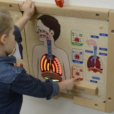 MASTERKIDZ Montessori kvėpavimo sistemos ugdymo taryba