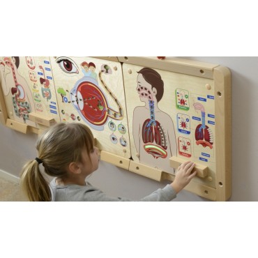 MASTERKIDZ Montessori kvėpavimo sistemos ugdymo taryba