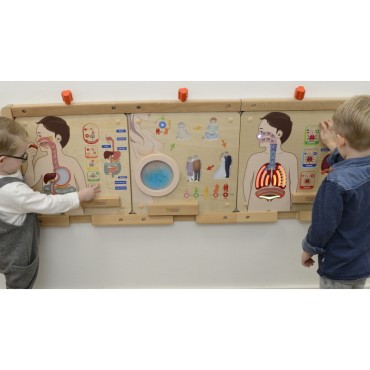 MASTERKIDZ Montessori kvėpavimo sistemos ugdymo taryba