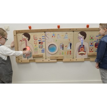 MASTERKIDZ Montessori virškinimo sistemos ugdymo taryba