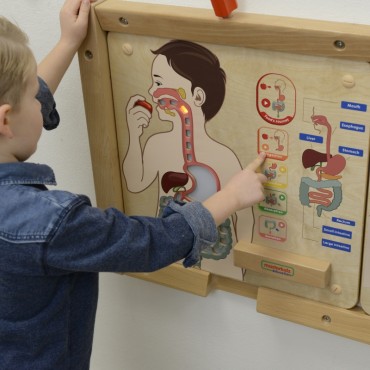 MASTERKIDZ Montessori virškinimo sistemos ugdymo taryba