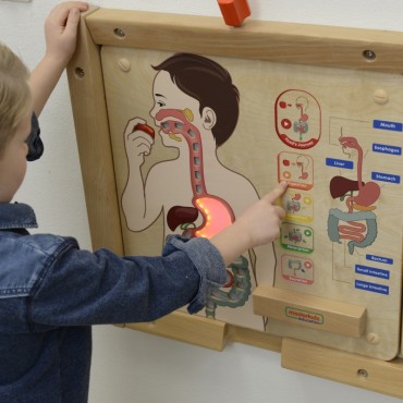MASTERKIDZ Montessori virškinimo sistemos ugdymo taryba