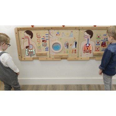 MASTERKIDZ Montessori virškinimo sistemos ugdymo taryba